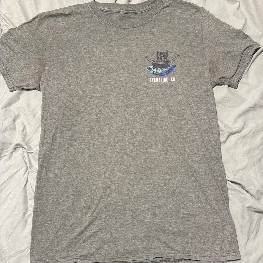 Gildan Gray Graphic Tee with Blue Accents